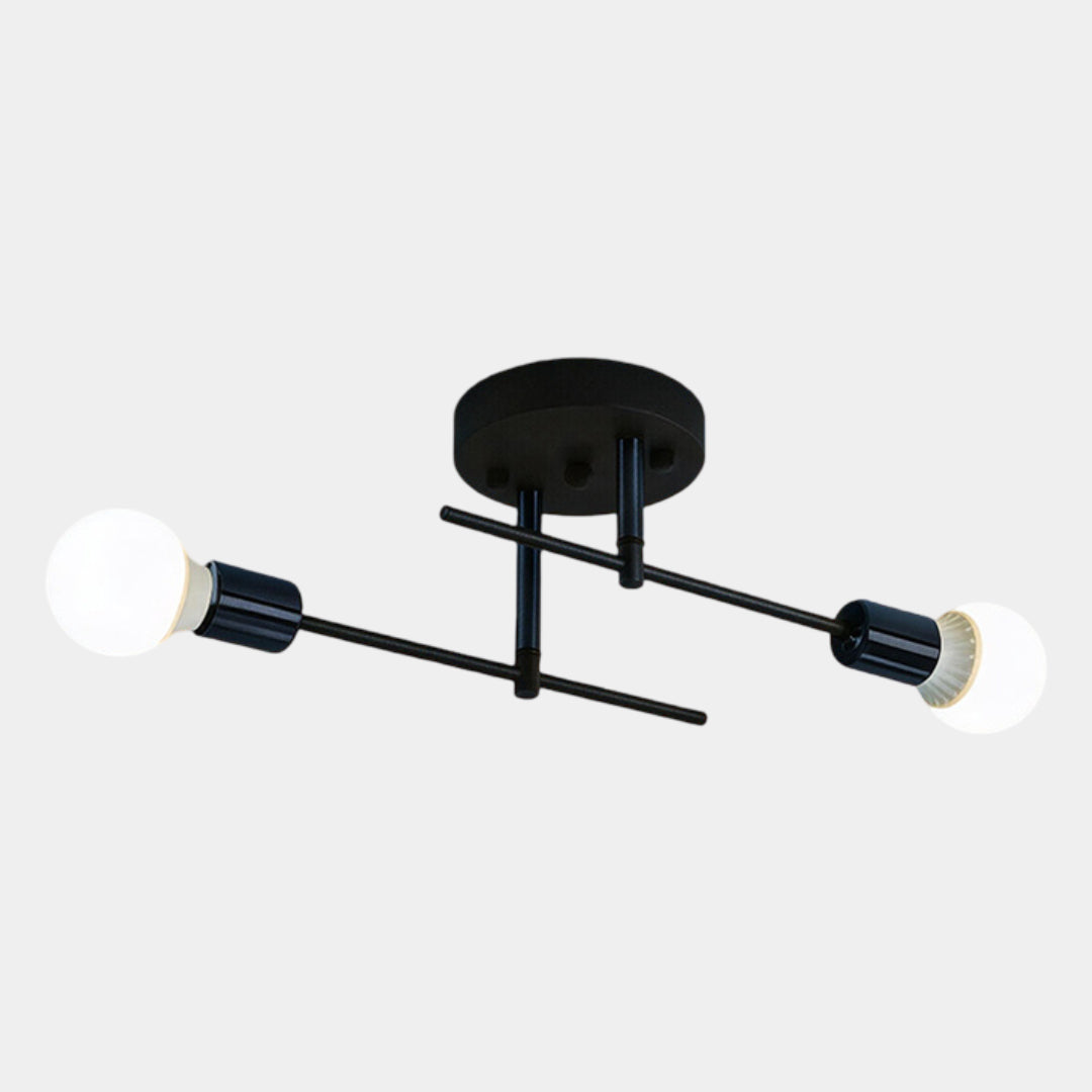 Modern 2-Light Ceiling Lamp
