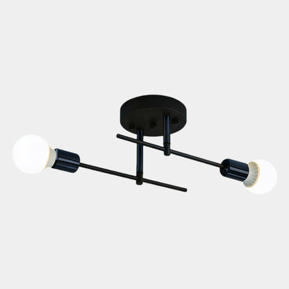 Modern 2-Light Ceiling Lamp