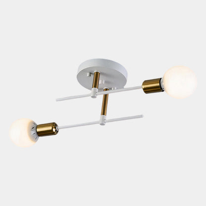Modern 2-Light Ceiling Lamp