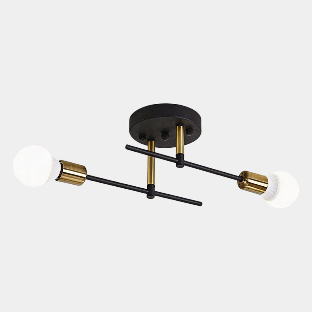 Modern 2-Light Ceiling Lamp