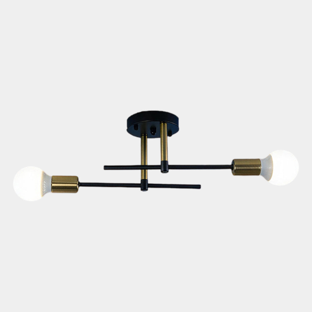 Modern 2-Light Ceiling Lamp