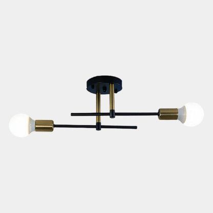 Modern 2-Light Ceiling Lamp