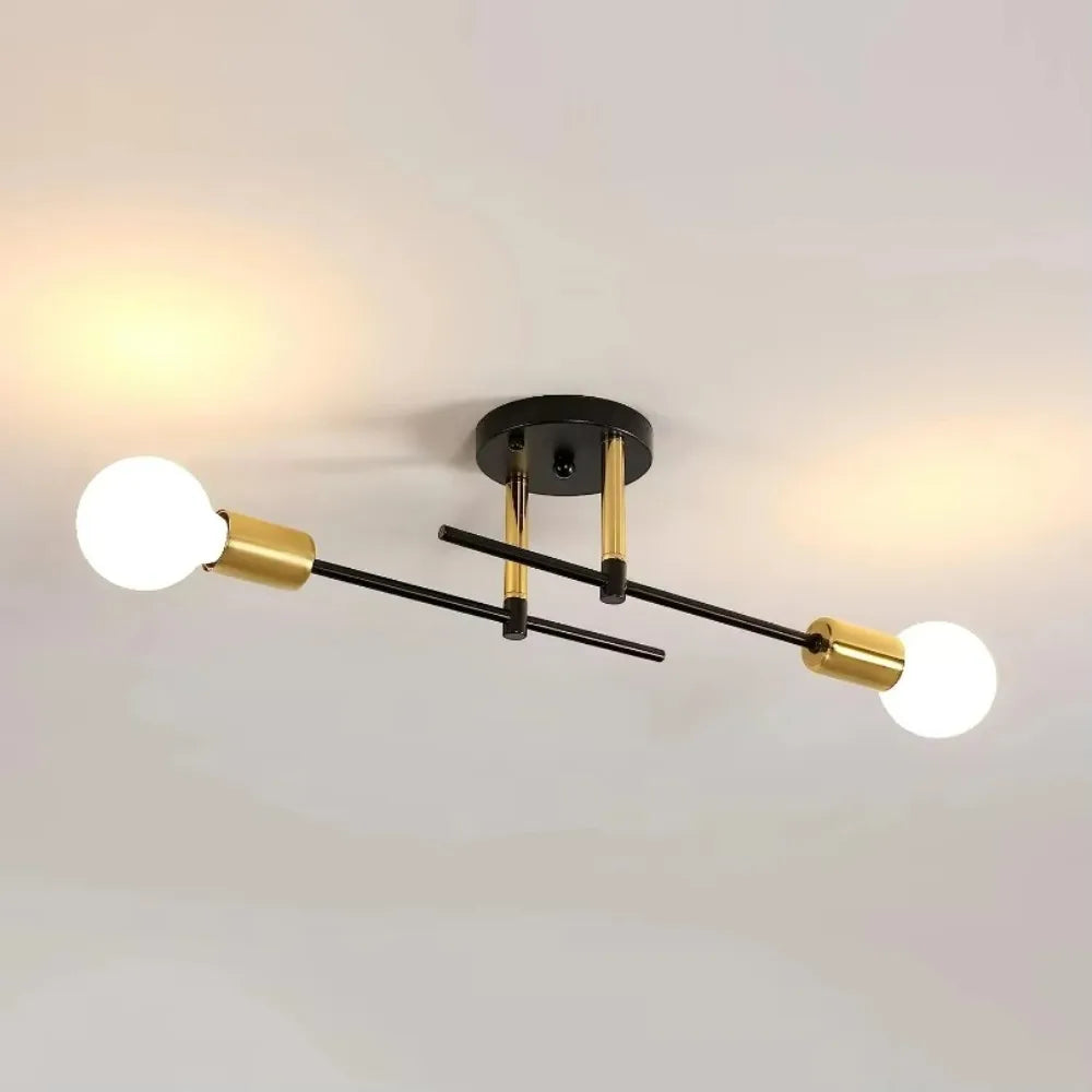 Modern 2-Light Ceiling Lamp