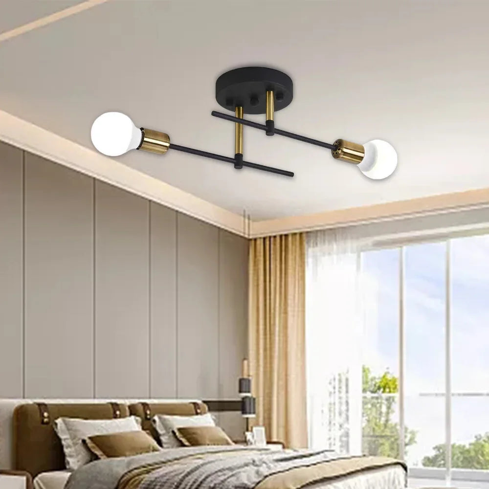 Modern 2-Light Ceiling Lamp